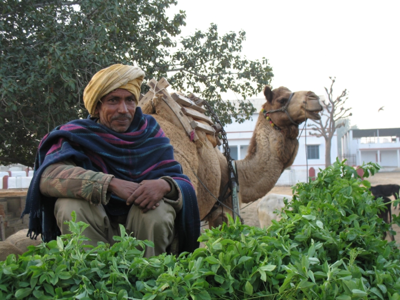 Rajasthan, India