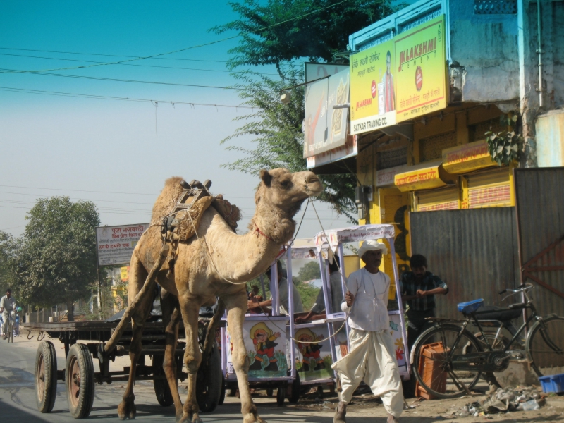 Rajasthan, India