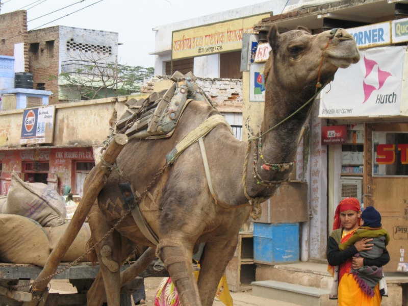 Rajasthan, India