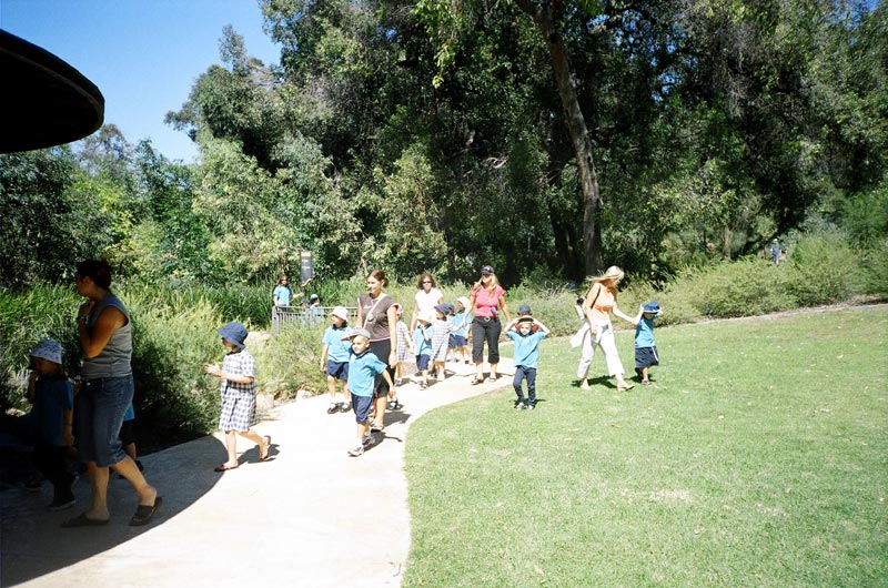 Kings Park, Perth, Western Austalia