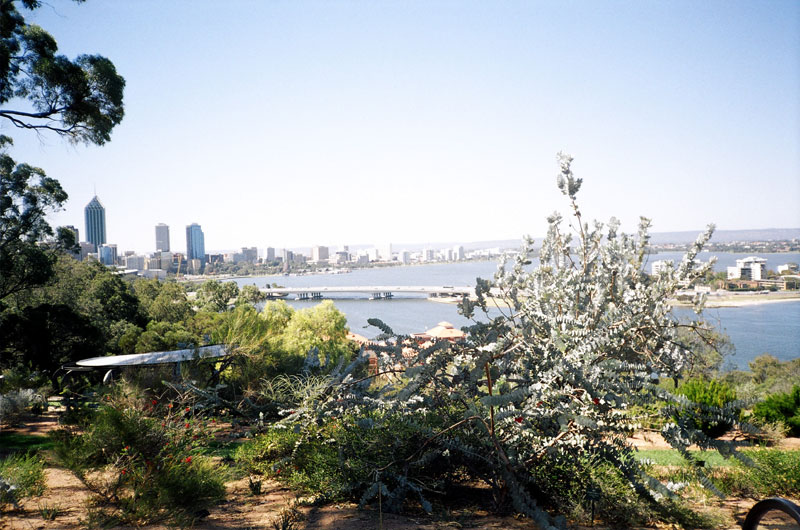 Kings Park, Perth, Western Austalia