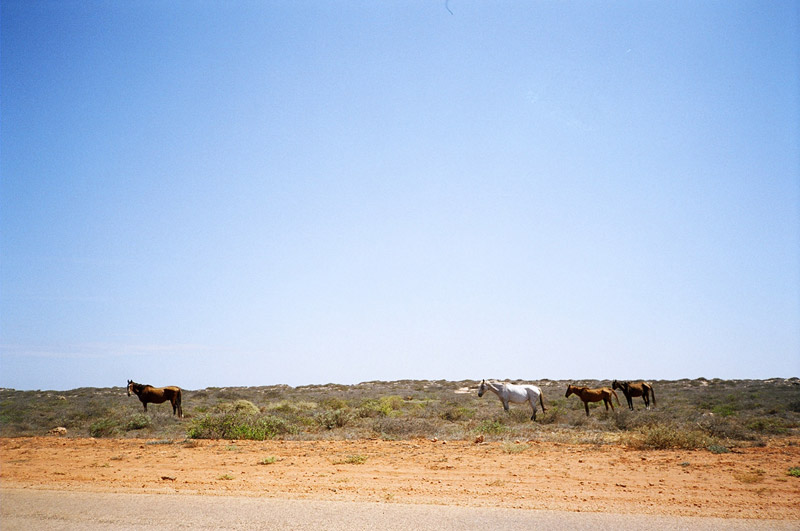  The Outback, Western Australia
