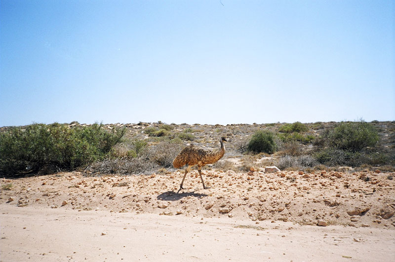  The Outback, Western Australia