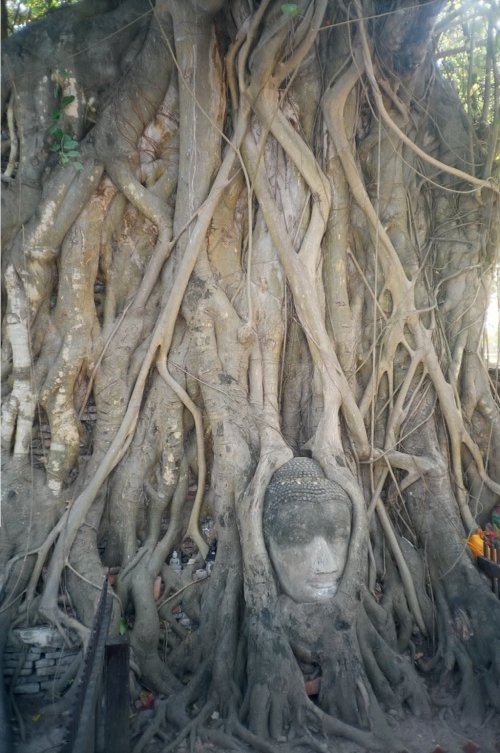 Ayutthaya, Thailand