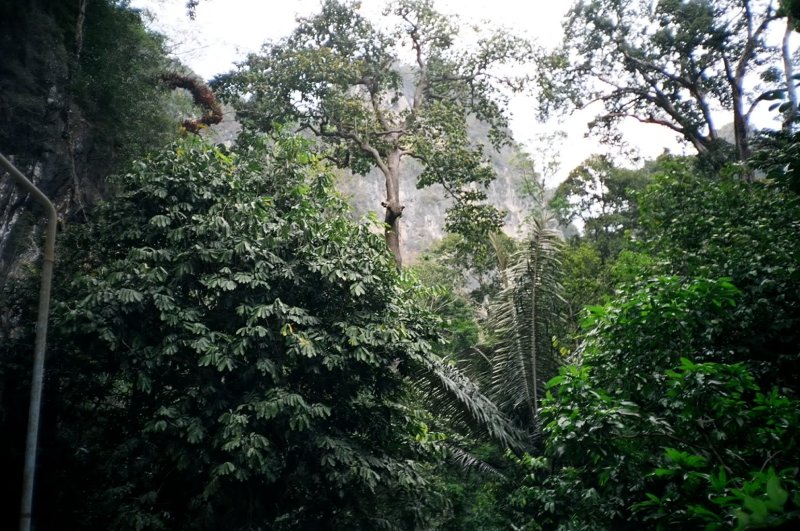 Krabi, Thailand