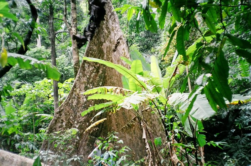 Krabi, Thailand