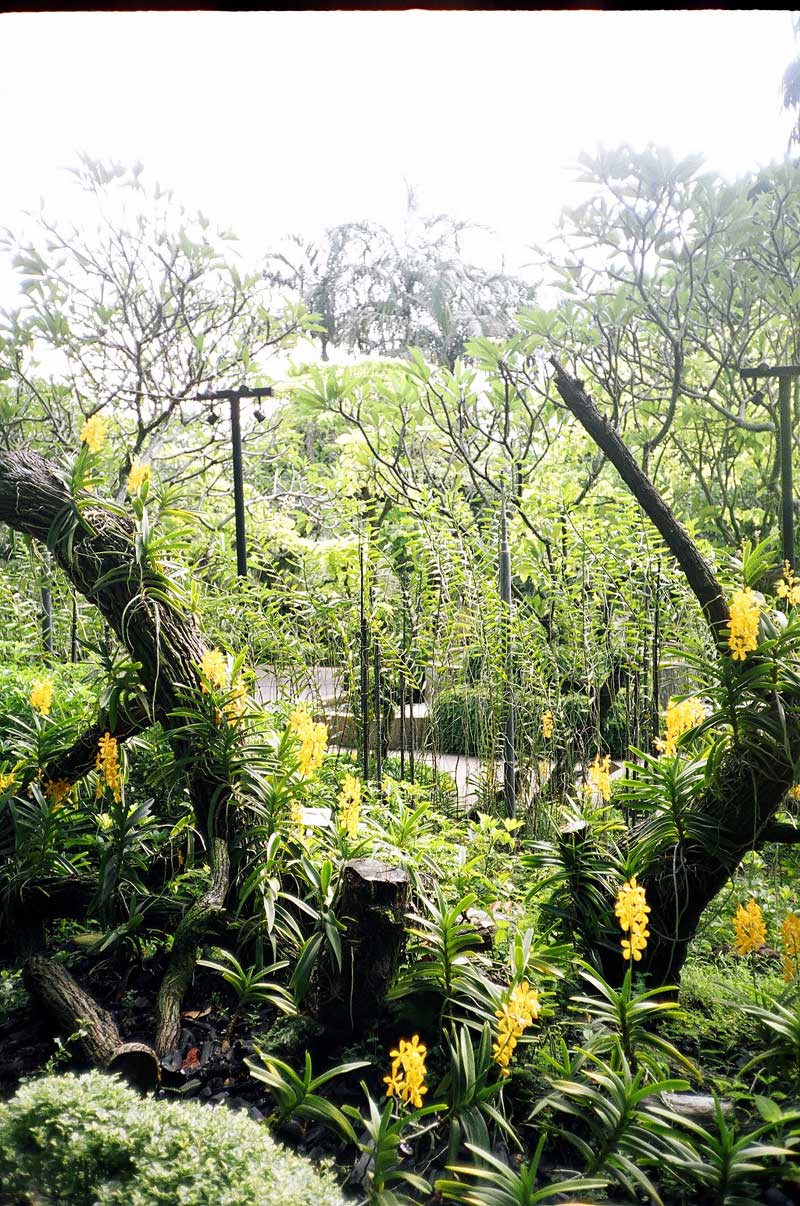 Botanic Garden, Singapore