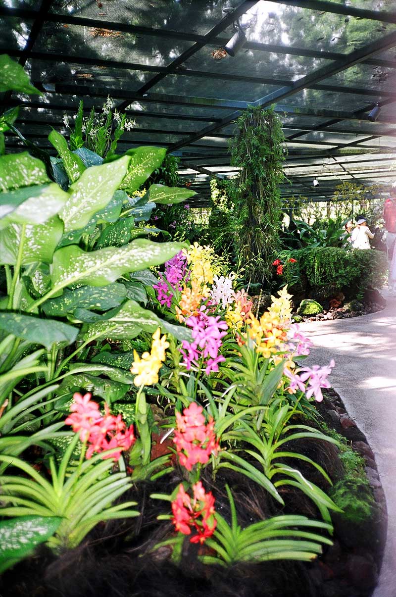 Botanic Garden, Singapore