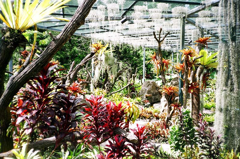 Botanic Garden, Singapore