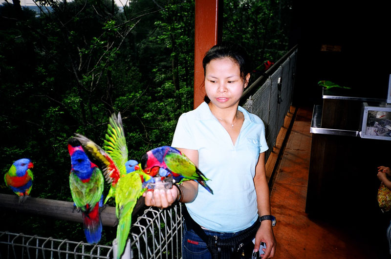 Jurong Bird Park, Singapore