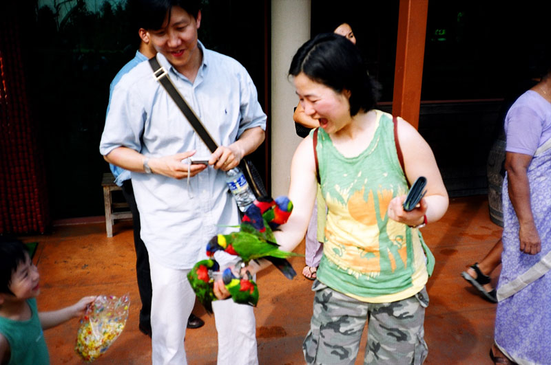 Jurong Bird Park, Singapore