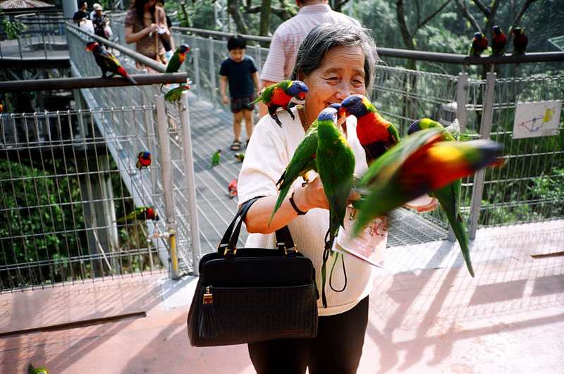 Jurong Bird Park, Singapore