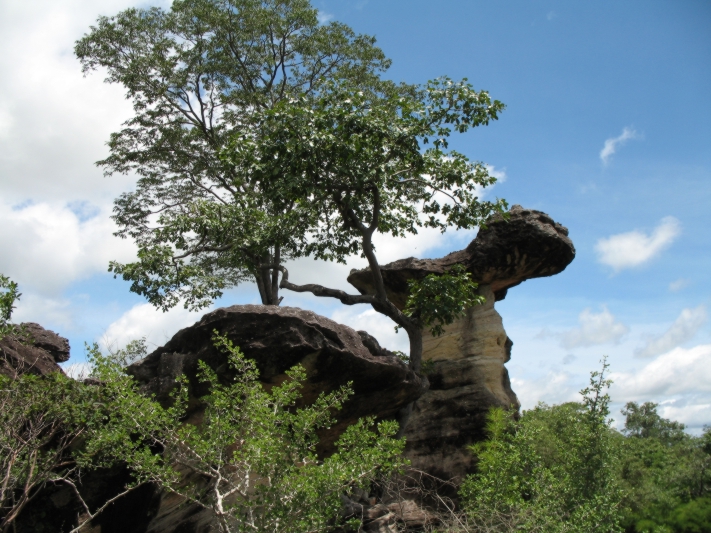 Mukdahan National Park, Isan, Thailand 