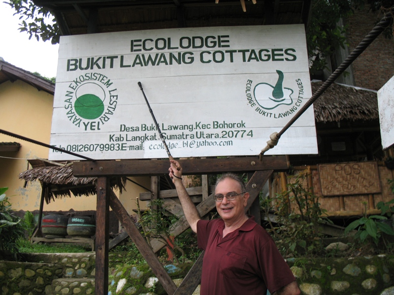 Bukit Lawang, North Sumatra, Indonesia