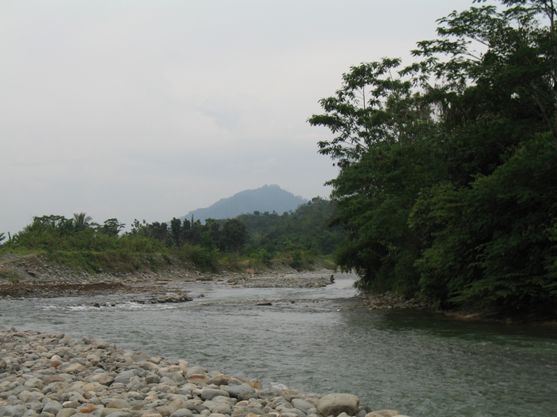 Bukit Lawang, North Sumatra, Indonesia