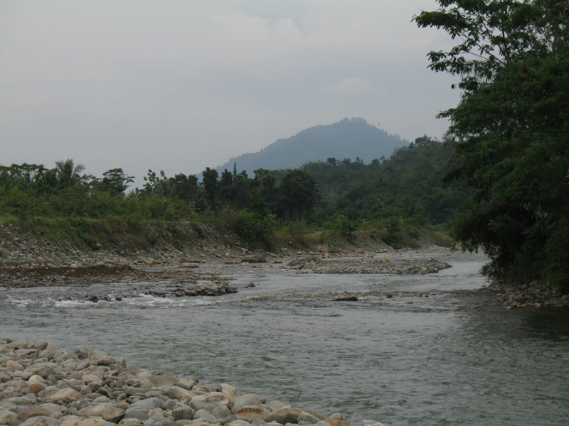 Bukit Lawang, North Sumatra, Indonesia