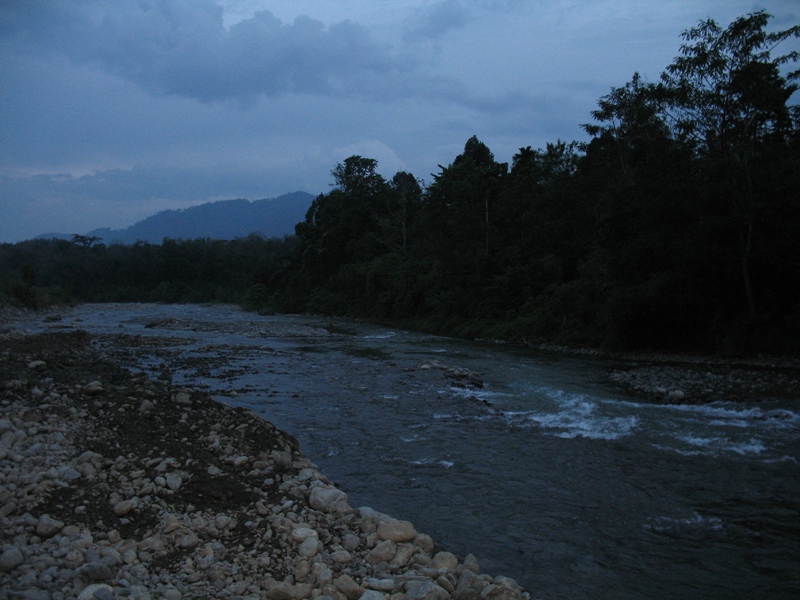 Bukit Lawang, North Sumatra, Indonesia