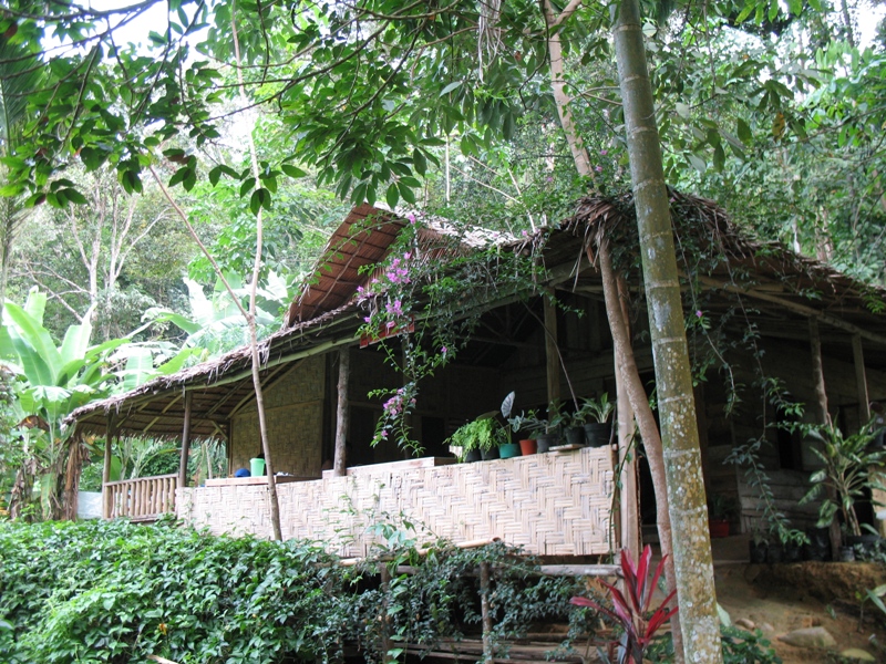 Bukit Lawang, North Sumatra, Indonesia