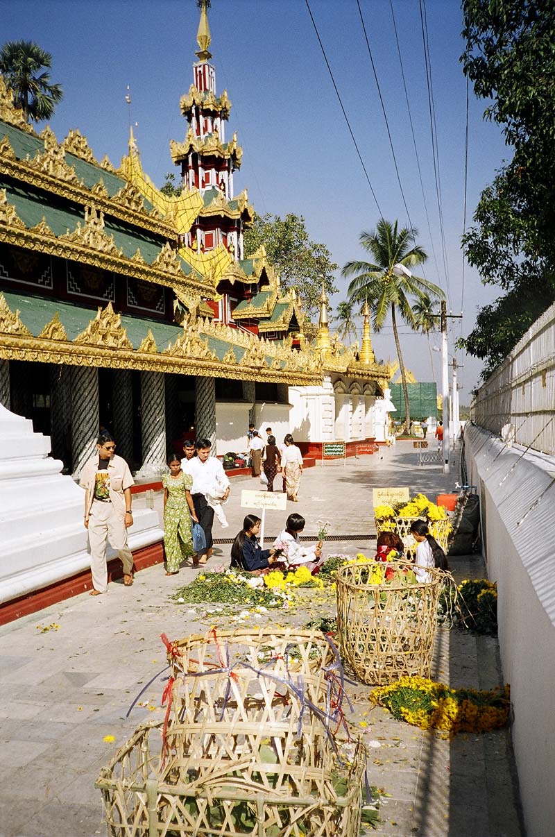  Shwedagon Paya, Yangon, Myanmar