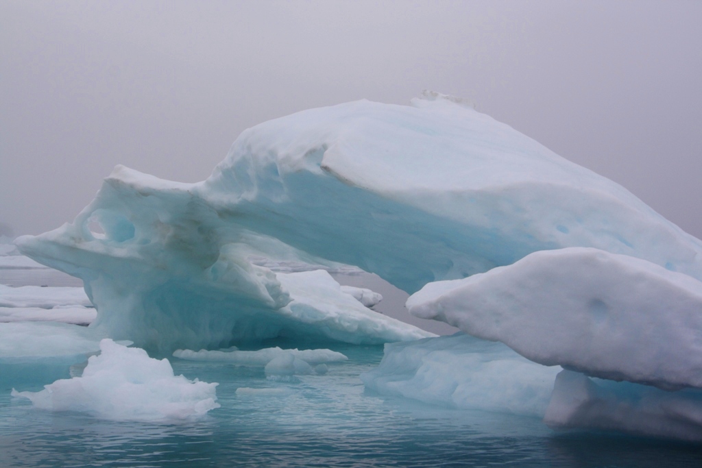 Bestiary Iceberg, Southeast Greenland