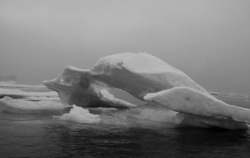 Bestiary Iceberg, Southeast Greenland