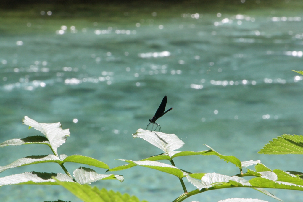 Blue Eye, District of Delvinë, Albania