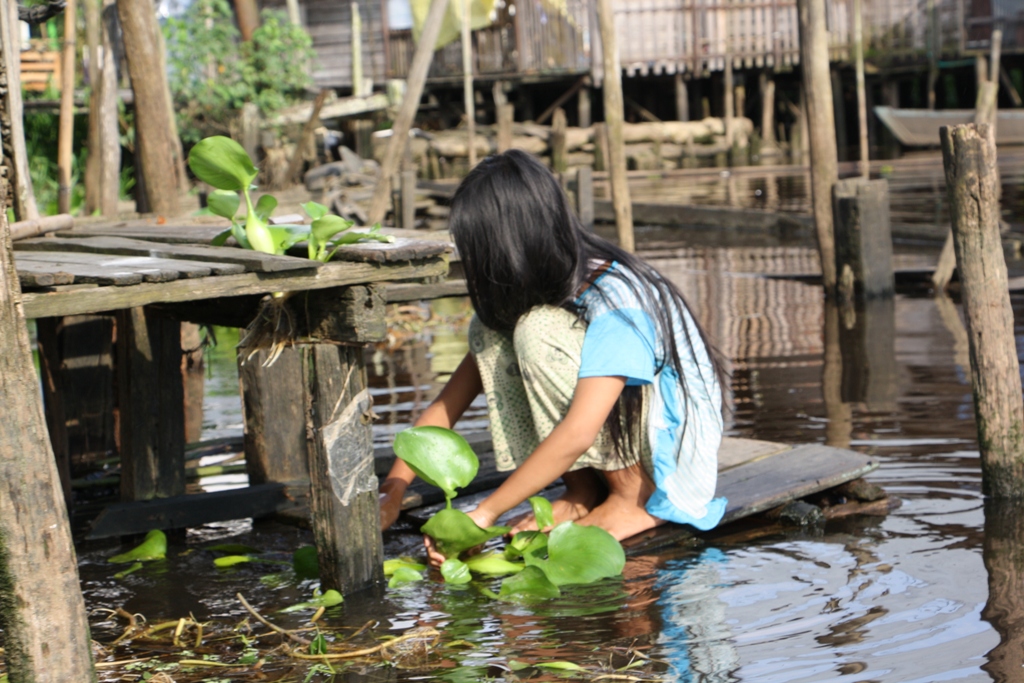 Canals, Banjarmasin, South Kalimantan, Indonesia 