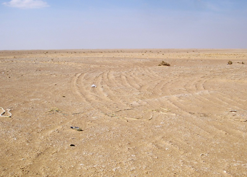 The Desert in Oman