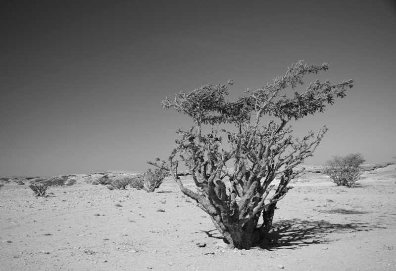 The Empty Quarter, Oman