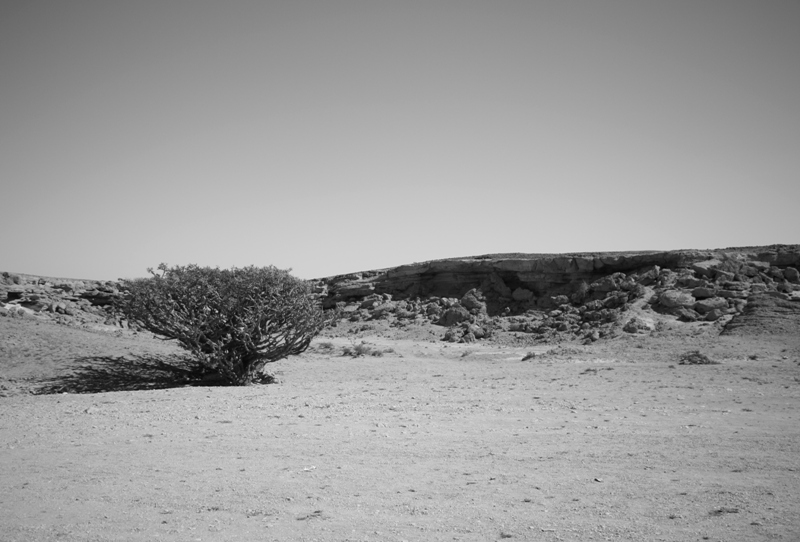 The Empty Quarter, Oman