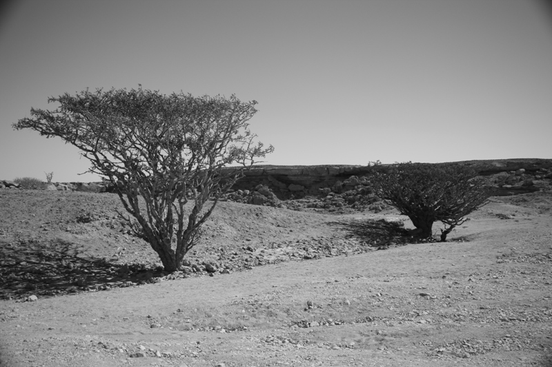 The Empty Quarter, Oman