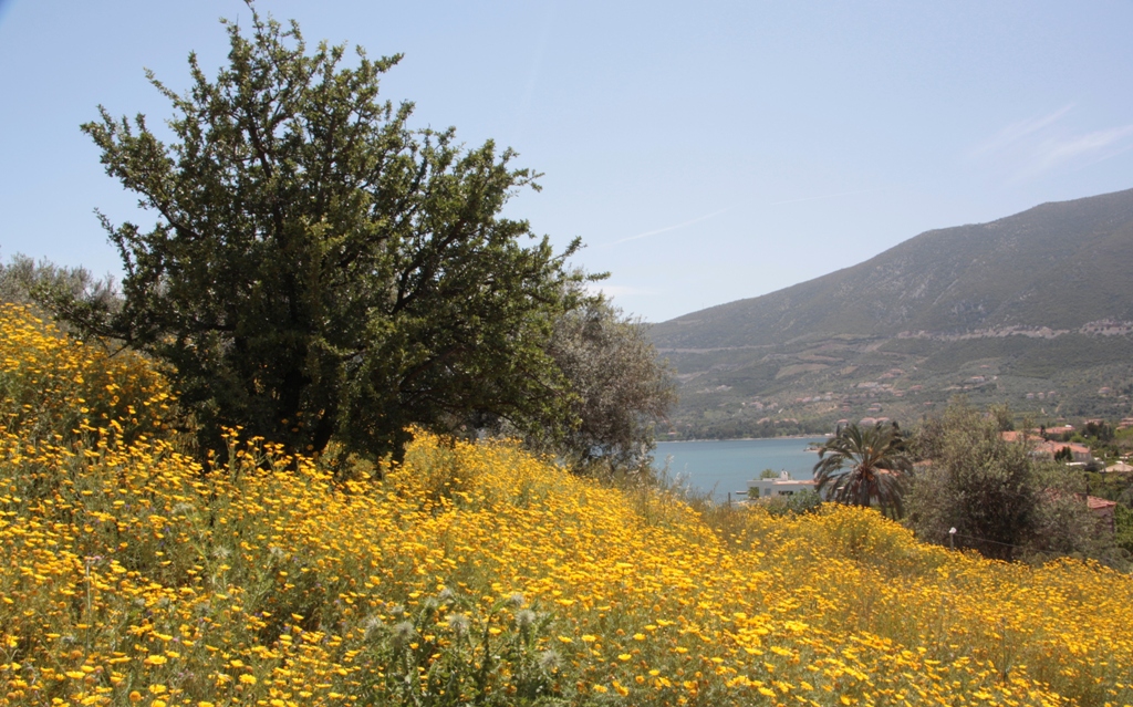 Old Epidaurus, Peloponnese, Greece