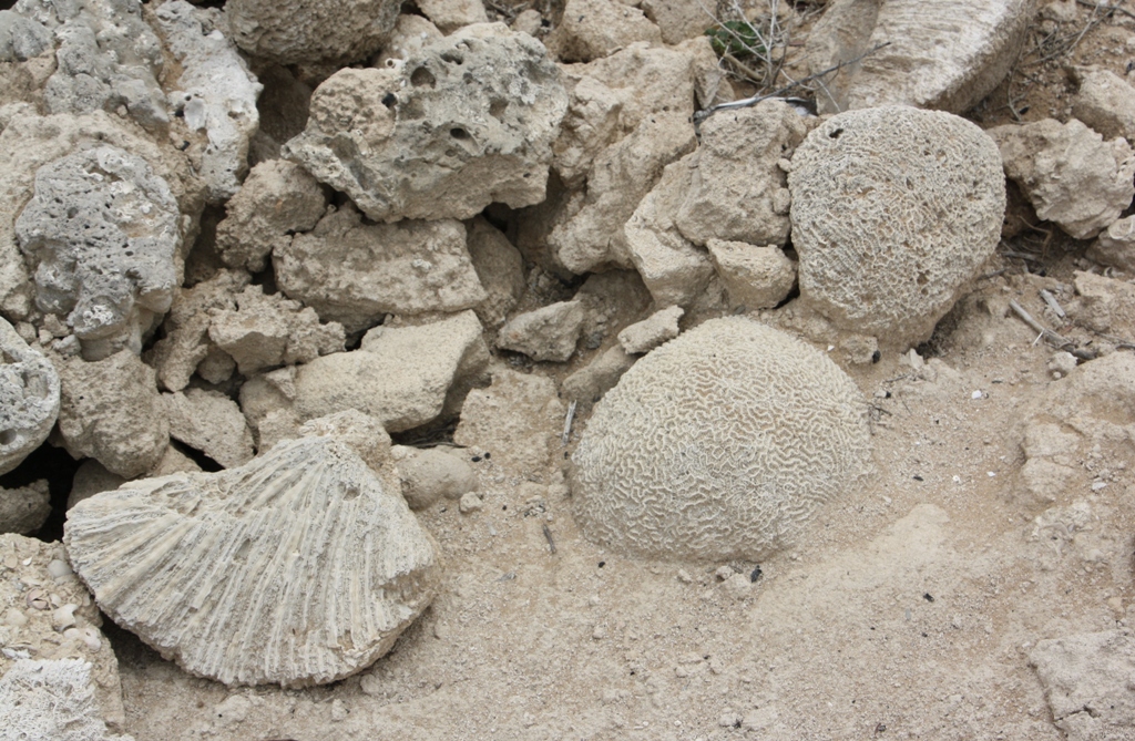 Jazirat Al Hamra, Fishing Village, Ras Al Khaimah, United Arab Emirates