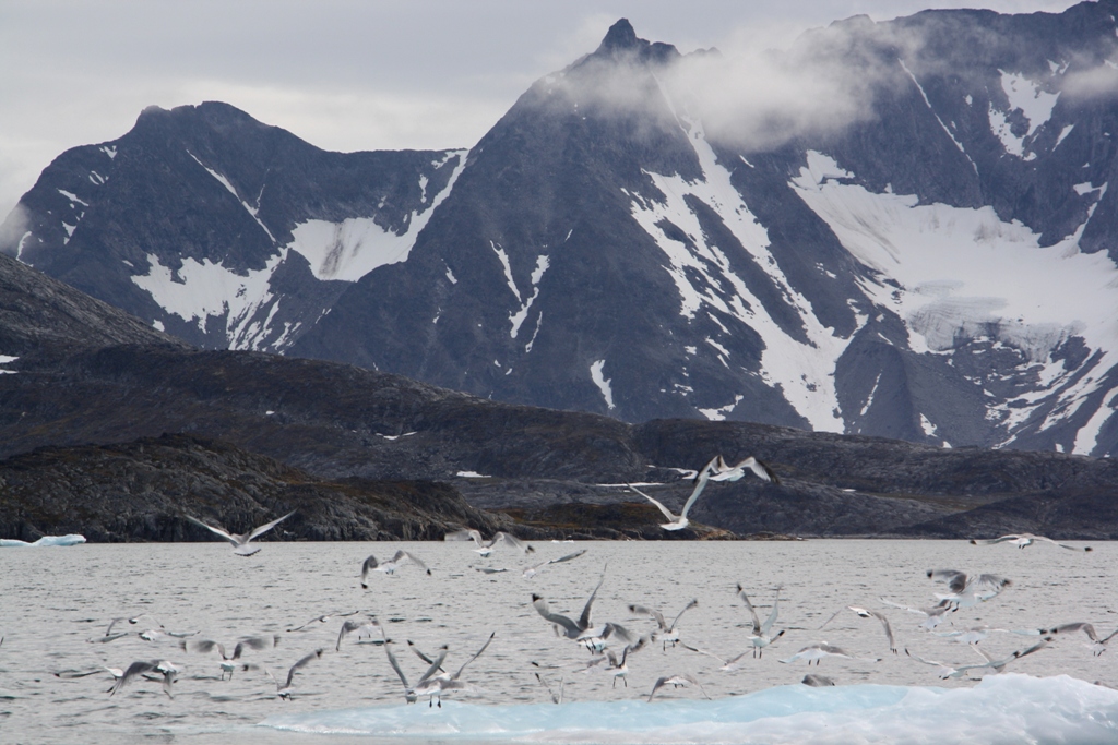 East Greenland