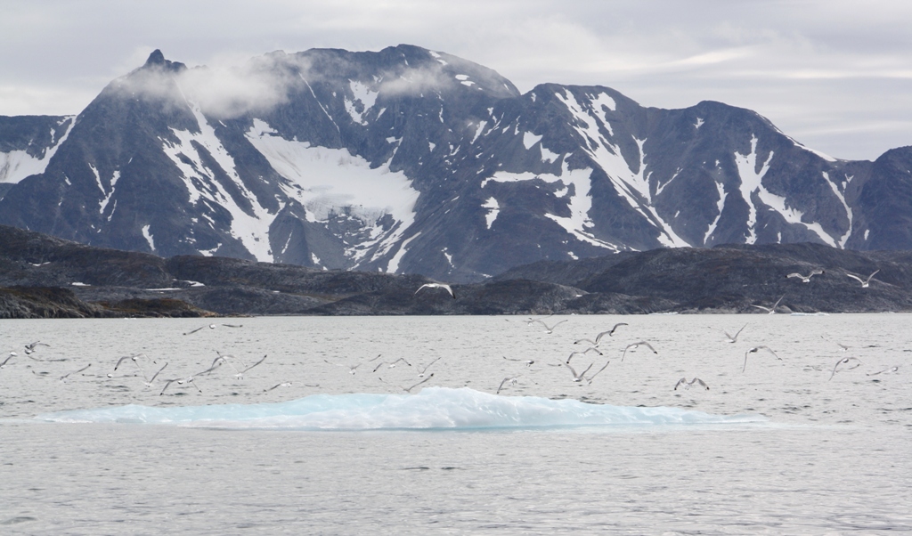 East Greenland