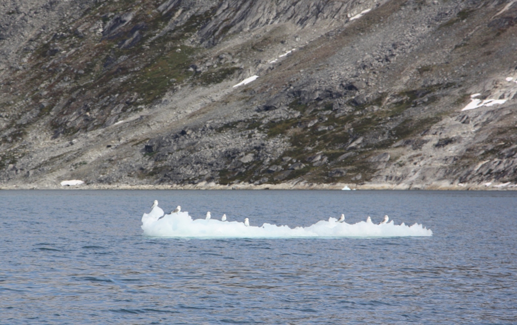 East Greenland