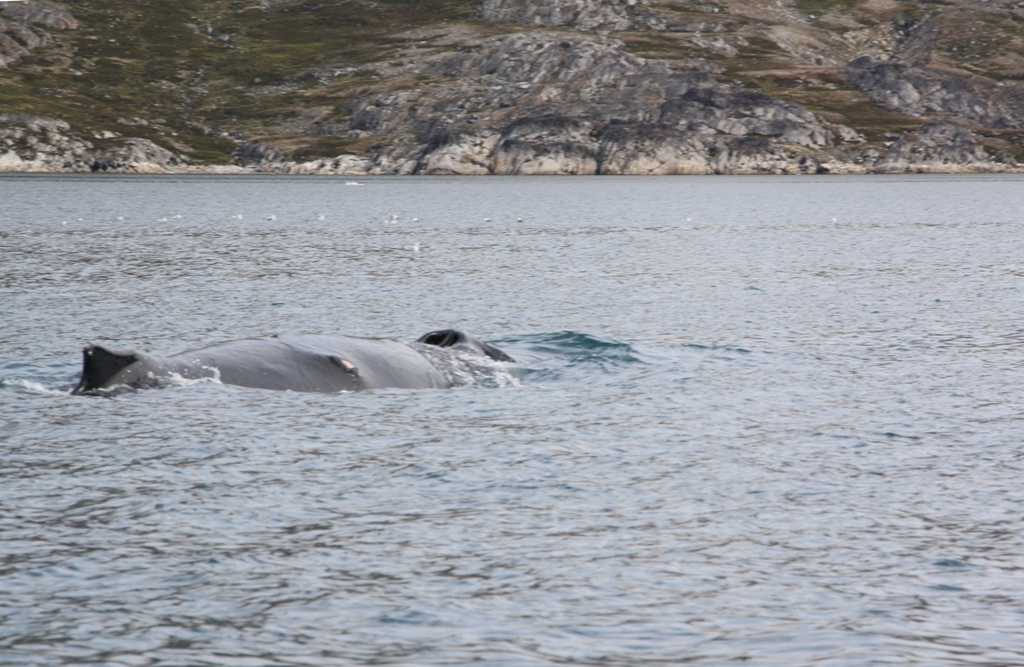 East Greenland