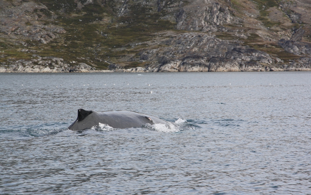 East Greenland