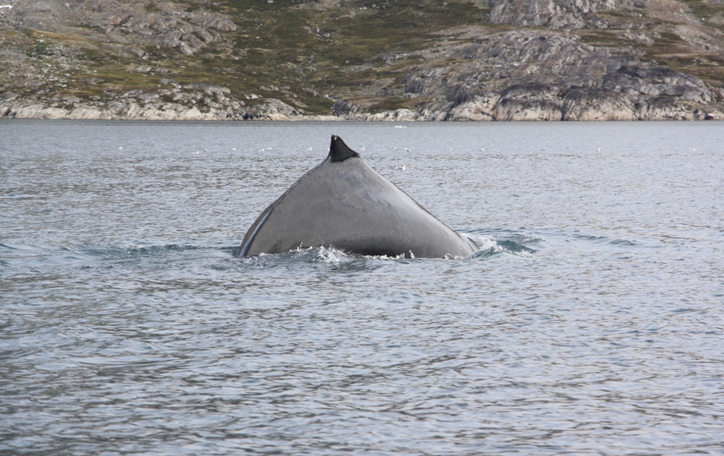 East Greenland