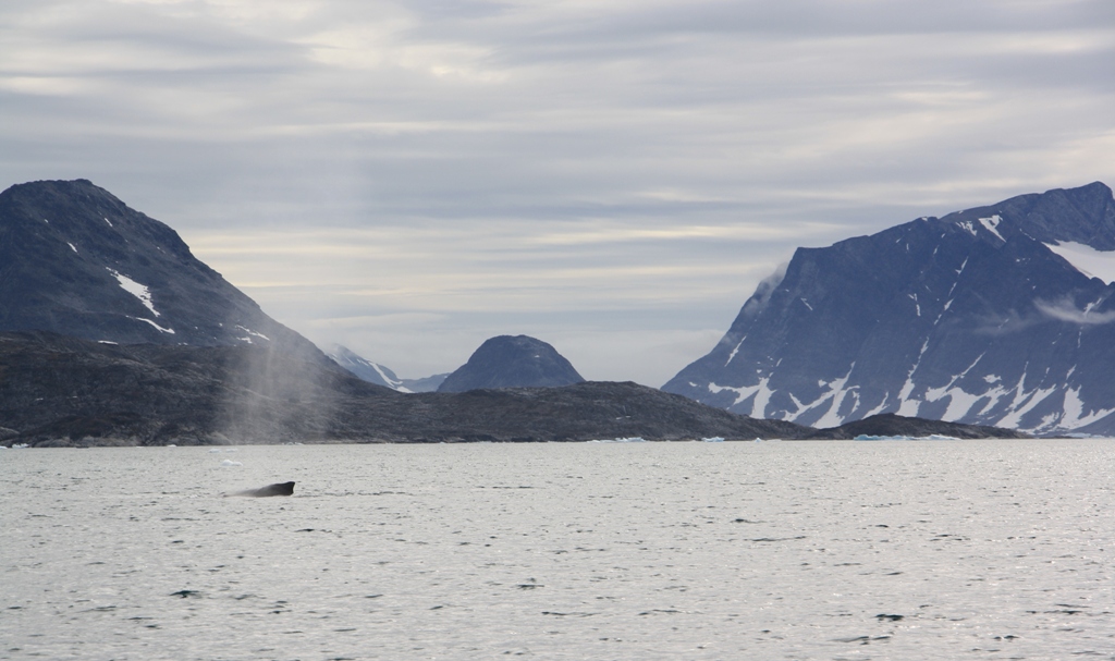 East Greenland