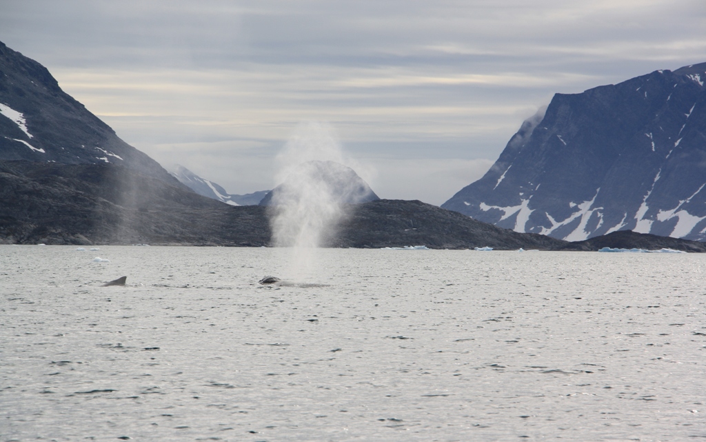 East Greenland