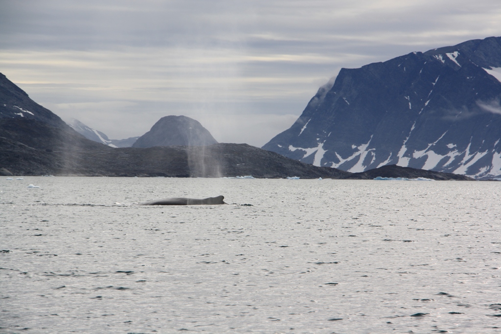 East Greenland