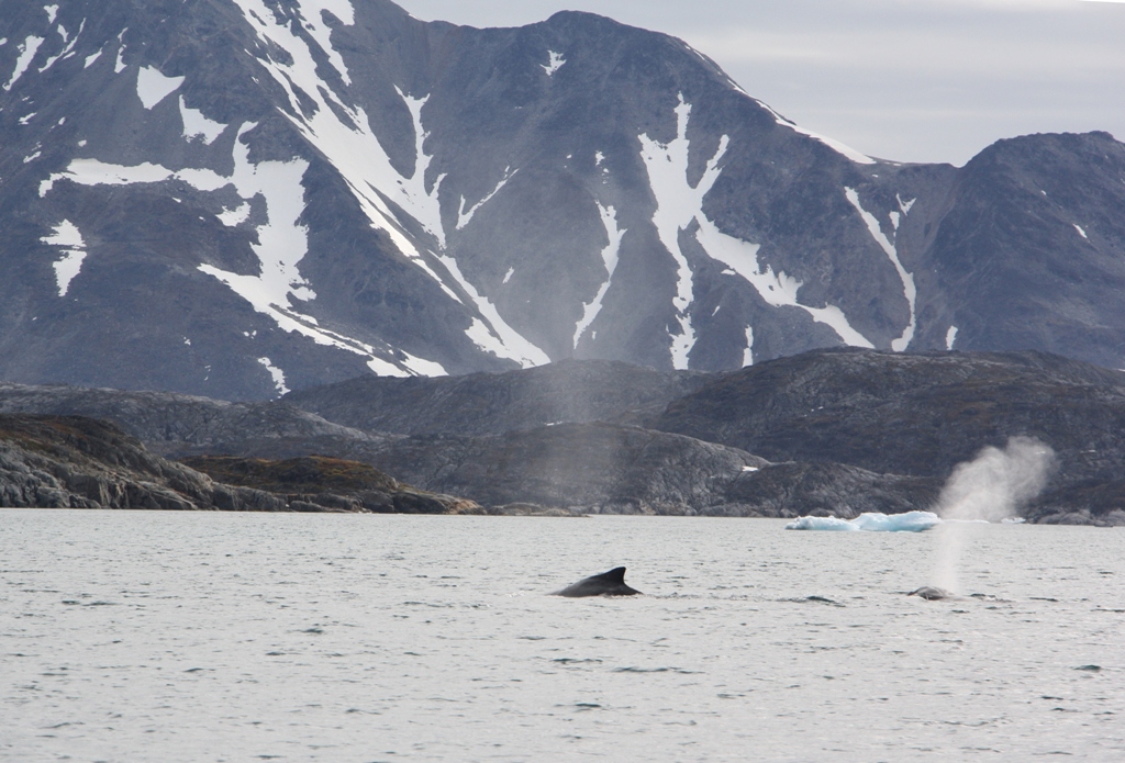 East Greenland