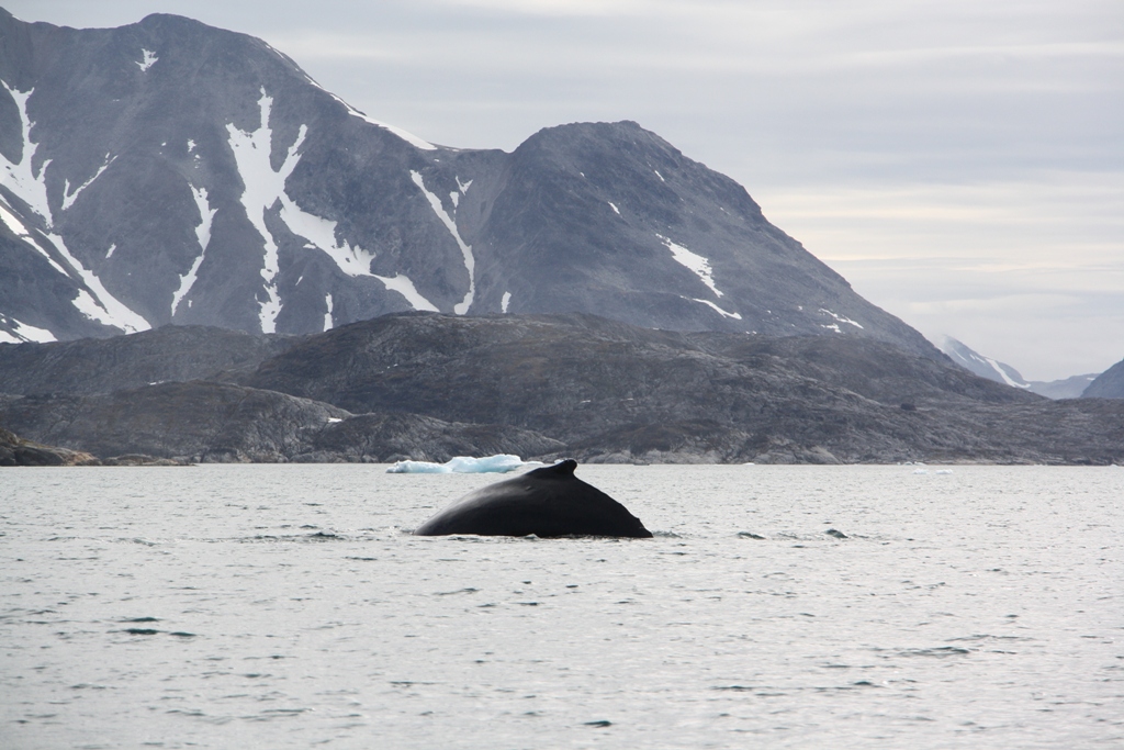 East Greenland