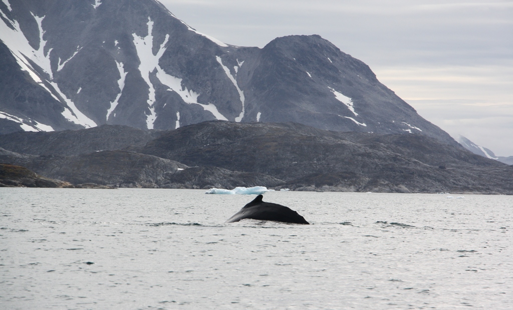 East Greenland