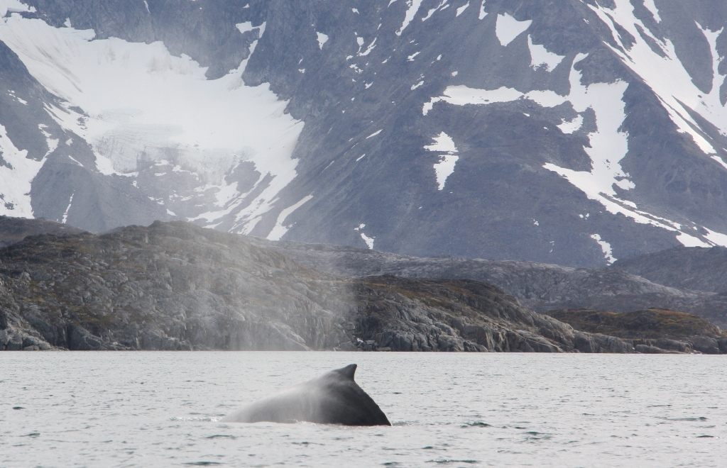 East Greenland