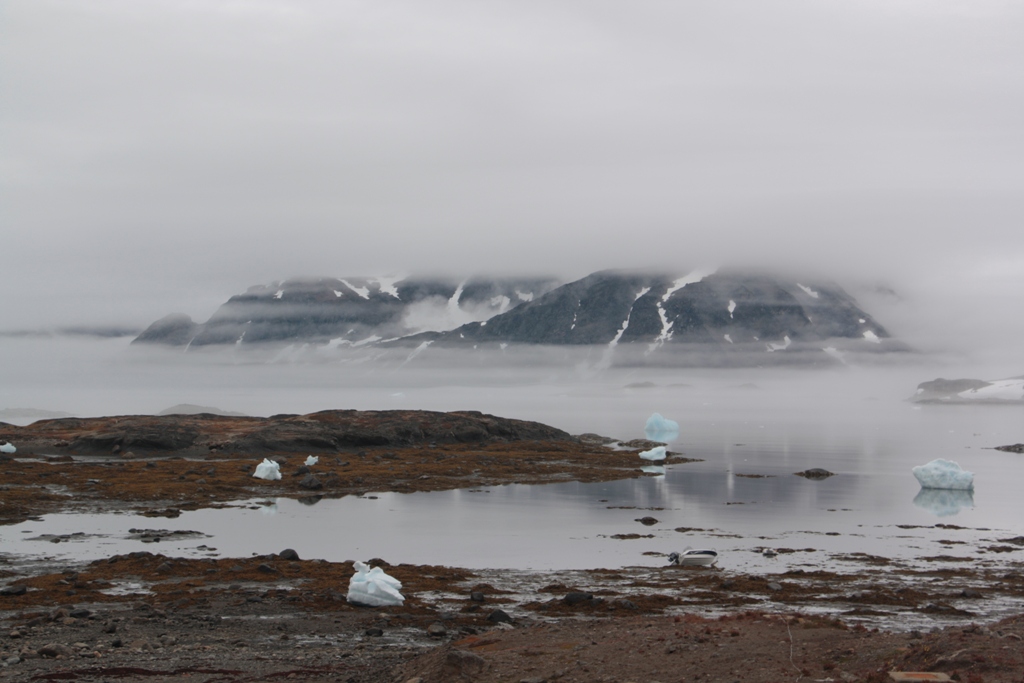 East Greenland