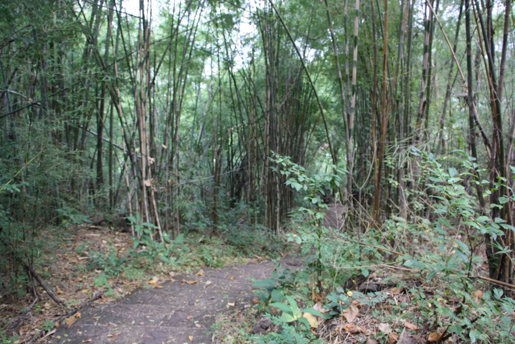 Hike, Phatat Cave, Kanchanaburi