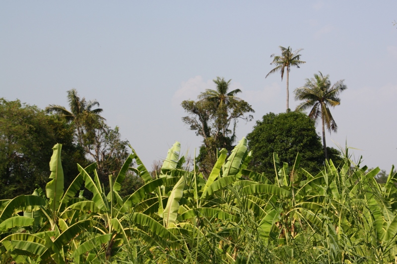 Ko Kret, Nonthaburi, Thailand