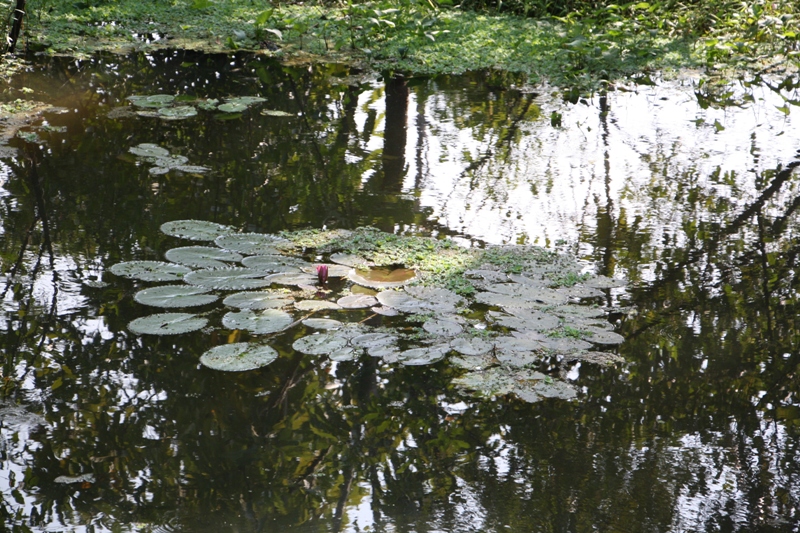 Ko Kret, Nonthaburi, Thailand